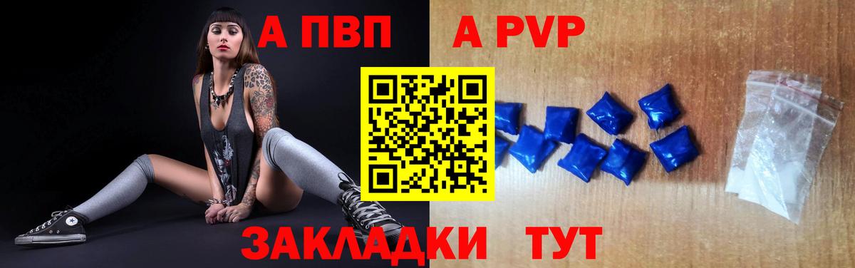 Альфа ПВП СК КРИС Котовск