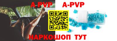 эйфоретик Кингисепп