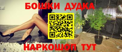 эйфоретик Кингисепп