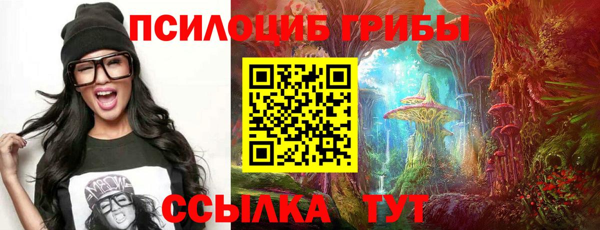 Котовск  Псилоцибиновые грибы мухоморы  Вход с VPN 